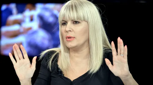 Elena Udrea, gata de viața în libertate. Mesajul transmis de avocatul fostului ministru