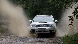 Și Forester trece pe motorină