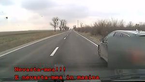 Tare! VIDEO Experiența inedită trăită de un șofer din România. Cum a asistat la un "divorț" pe șosea :)