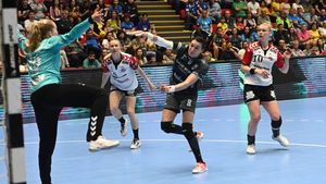 Handbalul nu scapă de „legea Novak” în noul sezon! Cine încalcă ordinul de ministru are de plătit 30.000 de lei pe meci. S-a stabilit cine verifică și cine aplică amenzile | EXCLUSIV