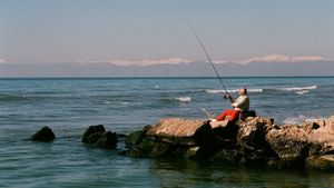 (P) Lansete feeder și momitoarele grele: combinații testate de experți