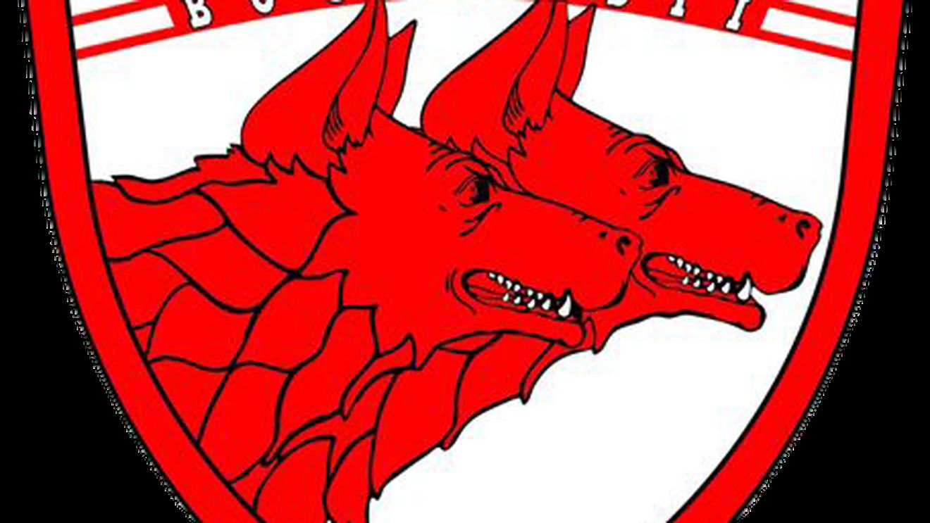 Suporterii au decis noul logo al lui Dinamo: „Rămâneți aproape!” Când aflăm votul legendelor