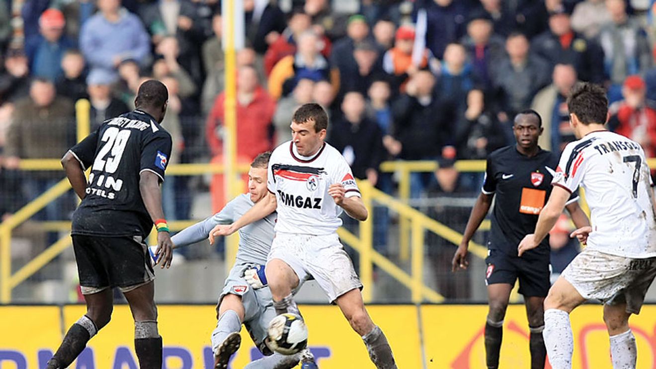 „Reparăm Â«furăciuneaÂ»!"