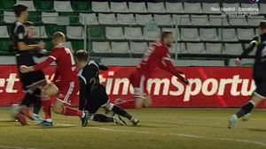 Gafă uluitoare la primul meci din play-out! Safranko nu a primit penalty la un fault brutal făcut de Grădinaru | FOTO