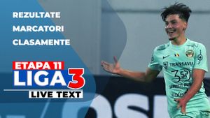 Etapa 11 Liga 3 | Pași greșiți pentru Unirea Alba Iulia și Jiul Petroșani, derby-ul de pe Areni s-a terminat nedecis. FCSB 2 a câștigat spectaculos contra Dinamo 2, iar scorul rundei aparține echipelor CSU Alba Iulia și CSM Sighetu Marmaţiei