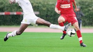 "Câinii" au jumulit „canarii"