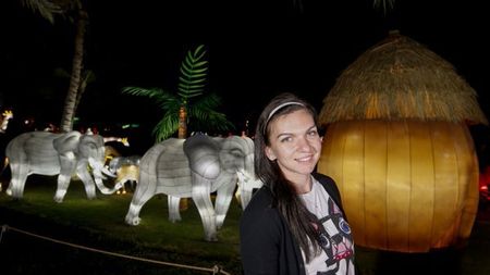 IMAGINEA ZILEI | Simona și elefanții: peisaj spectaculos în Dubai Garden Glow