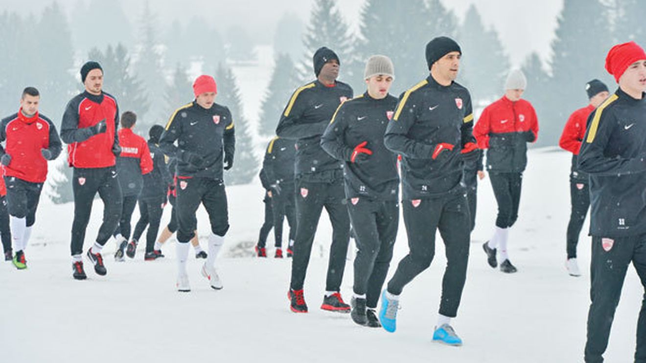 Revoltă la Dinamo?** 'Câinii' și-au pus speranța în venirea lui Borcea, dar situația stă să explodeze. Ce pregătesc jucătorii