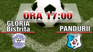 Citiți aici comentariul partidei Gloria Bistrița - Pandurii 3-1