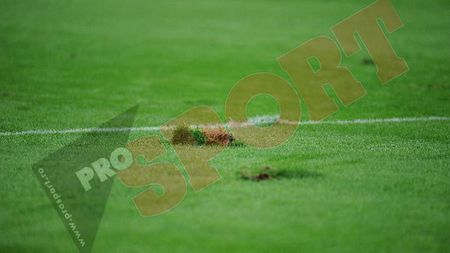 Noi dezvăluiri INCREDIBILE despre iarba de pe National Arena:** "Gazonul era uscat când a fost montat! A fost vopsit pentru meciul cu Franța! A fost o escrocherie"