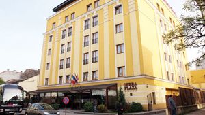 Nemții vin cu lingurița de acasă!