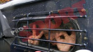 Planul pentru Becali: consultant la echipa lui Hagi, va ieși din penitenciar în mașină cu geamuri fumurii