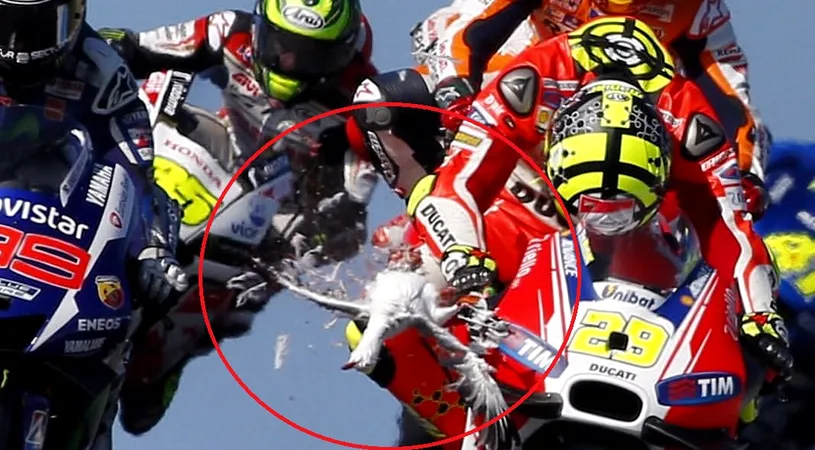 VIDEO | Andrea Iannone a spulberat cu capul un pescăruș în cursa MotoGP din Australia