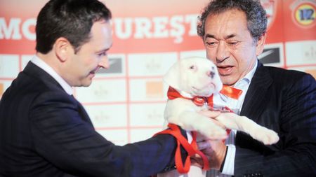 L-au luat pe Noul Messi!** Badea a prezentat singura achiziție a lui Dinamo: un dog argentinian!