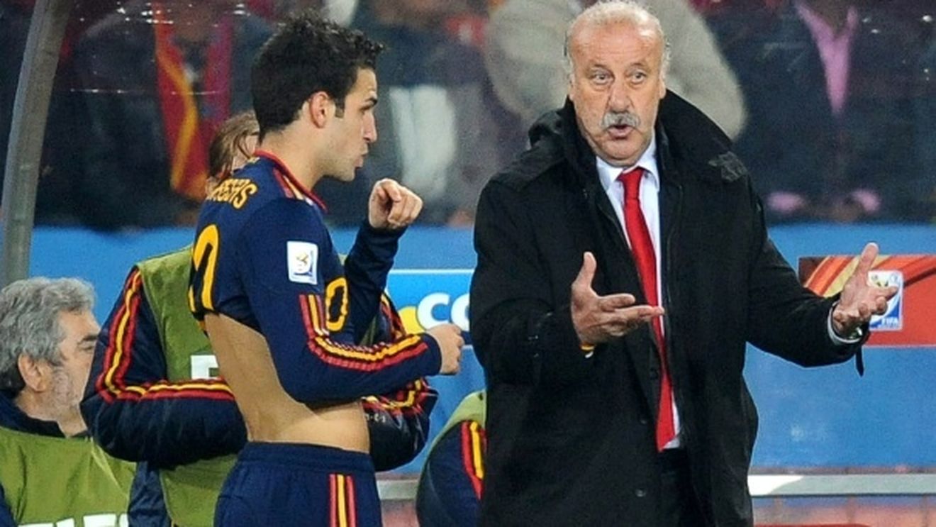Fabregas îl imploră pe Del Bosque**: "Sunt disperat! E dureros să nu fiu în primul 11"