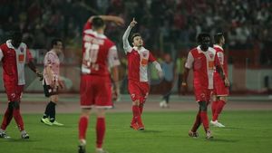 Timișorenii au dat nas în nas cu "câinii":** "Erau albi ca varul!"