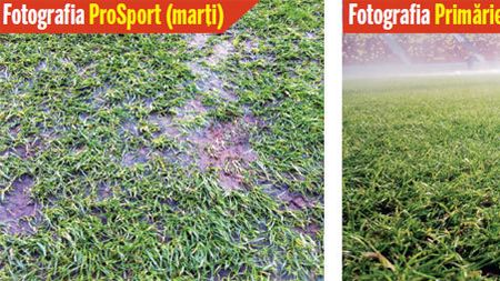 Autoritățile garantează:** "Gazonul va fi bun"