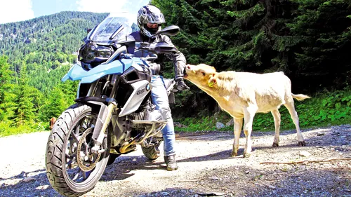 Long Live the Queen! BMW R 1200 GS e regina clasei enduro-touring în moto