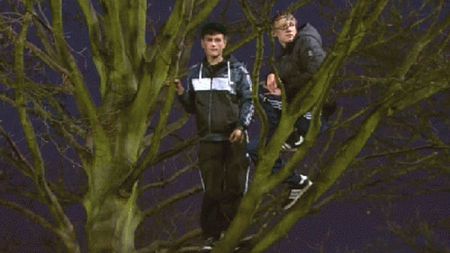 FOTO: Imaginea zilei în Europa! :) Poza nu este făcută în România!** Ce super vedete au urmărit acești tineri din copac