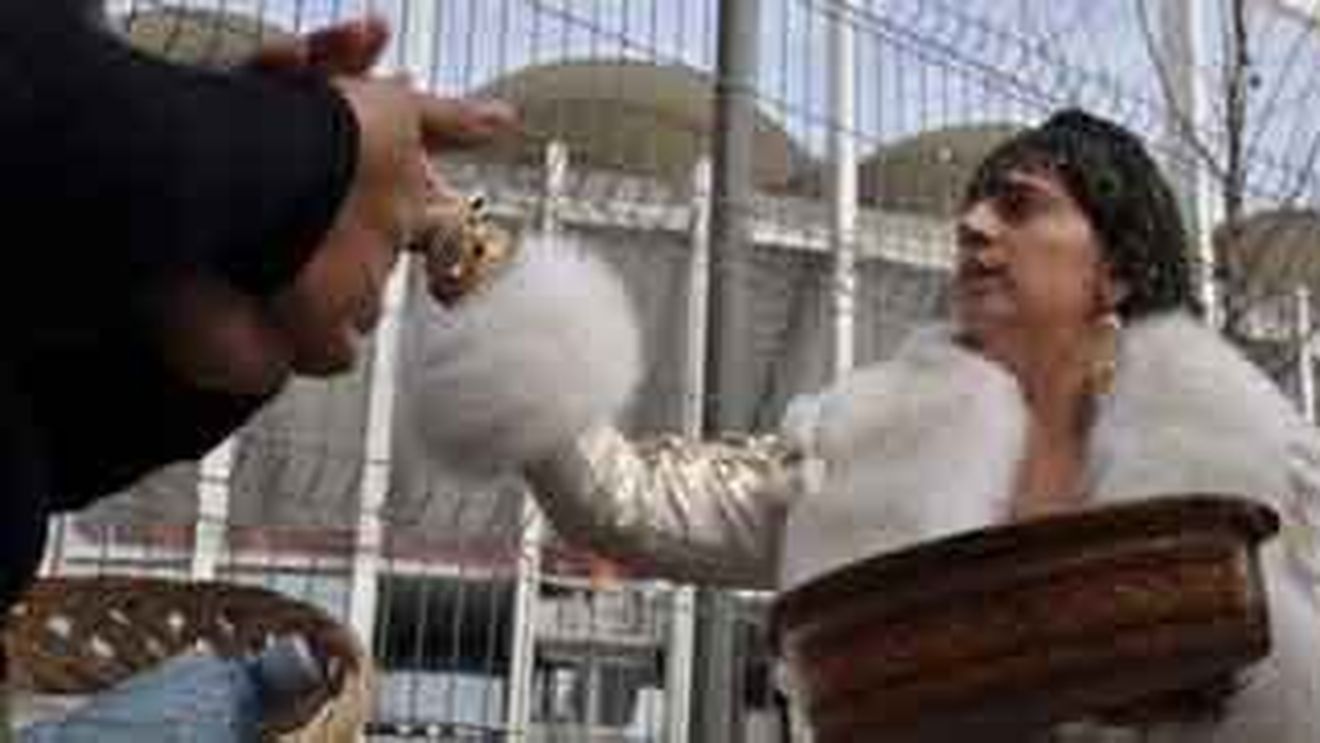 Vrăjitoarele au venit la "Național Arena" și l-au scăpat pe Becali de blesteme:** "Steaua va câștiga primul meci aici! Pe Gigi îl paște o boală"