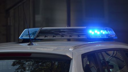 Descoperire șocantă! A fost făcută cea mai mare captură de droguri din istorie! Anunțul Poliției