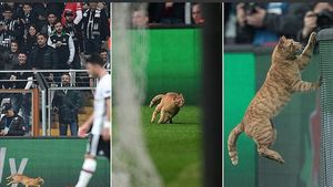 VIDEO | N-a mai îndurat umilința și a întrerupt meciul :). "Intrusul" care a pătruns pe teren în timpul meciului Beșiktaș - Bayern
