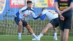 Andrei Borza s-a accidentat și ratează meciurile naționalei cu Canada și Cipru. Ce variante are Mircea Lucescu