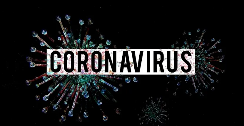 O pisică din Belgia, infectată cu noul coronavirus