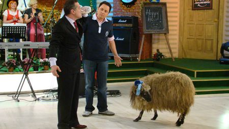 Cazul schimburilor de terenuri Becali - MAPN, din nou pe masa instanței!** Gigi a oferit o explicație de tot râsul: "Mă ofticam că Bebe paște oile acolo, iar eu nu"