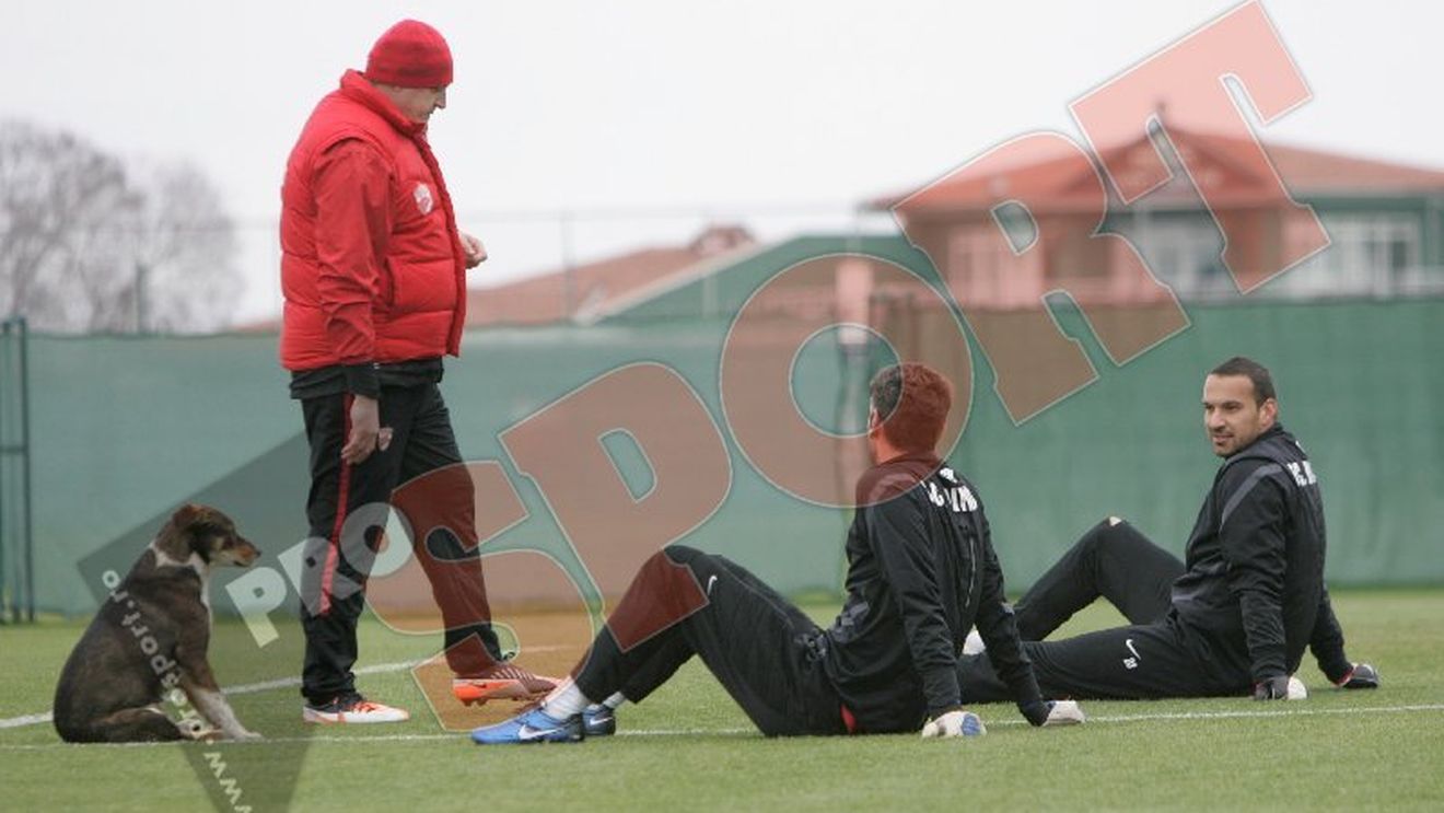 SUPER GALERIE FOTO** Dinamo a "transferat" un nou atacant: e dresat să înscrie și are eficiență MAXIMĂ‚ :)