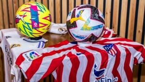 Lovitură pentru pirații online! Au doborât o rețea care transmitea pe internet posturi TV fără licență pentru 22.000.000 de utilizatori din România şi din toată lumea: „pradă” de milioane de euro în criptomonede și „captură” de droguri și arme