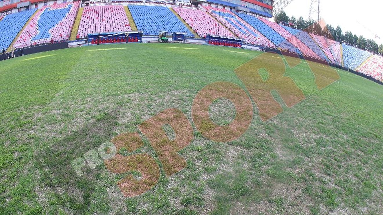 FOTO **Vezi aici imagini cu gazonul de pe Ghencea