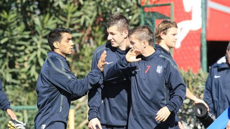 Revenire de senzație în Banat!** Jucătorul care ajunge gratis la ACS Poli Timișoara după ce Steaua l-a cumpărat pe un munte de bani