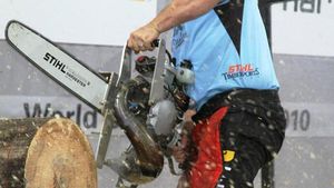 Pe 25 iunie se vor decide cei mai buni tăietori de lemne din România