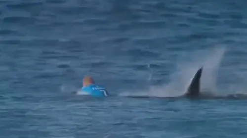VIDEO | Mick Fanning, surferul atacat de un rechin alb la J-Bay Open: „M-a dărâmat de pe placă și se zvârcolea lângă mine. Atunci am început să-l lovesc. Mental, sunt devastat. Nu voi mai fi niciodată în apa pe 19 iulie”