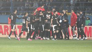 Cursa pentru EURO 2016! Șumudică, convins că îi poate reda naționalei vârful de care are nevoie! "Dacă joacă așa după 7 luni în care a fost moderator..." Reacția lui Niculae