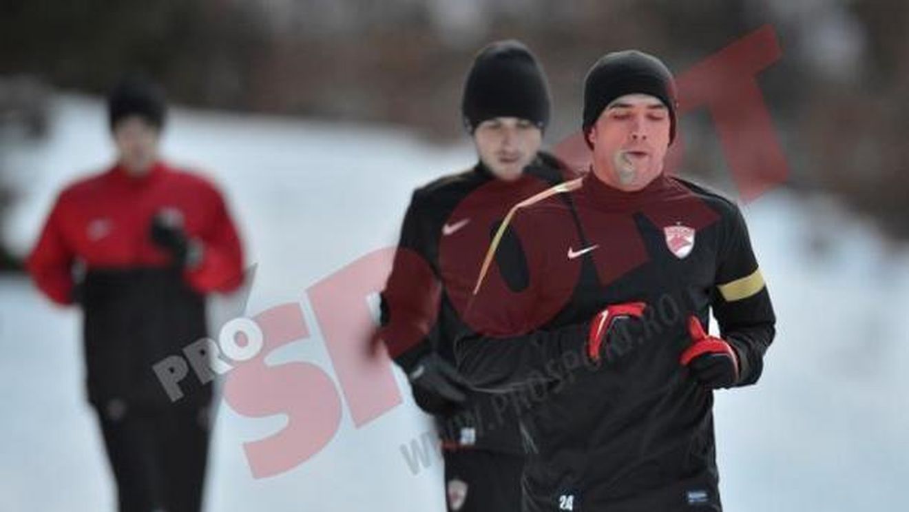 Clipe grele pentru "câini" în Poiana Brașov:** "Ne plângem de milă, de oboseală nici nu putem dormi noaptea"