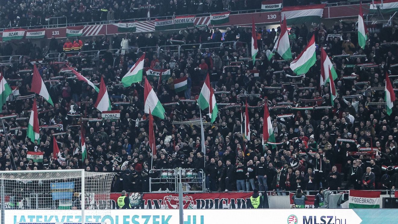 „E un român împuțit”. UEFA nu i-a iertat pentru unguri pentru ce au scandat!