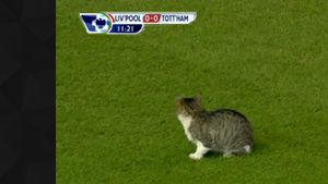 UIMITOR** "Anfield Cat", idol în Premier League!** O PISICĂ‚ face senzație printre fanii englezi
