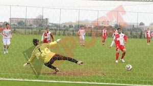 "Ne e dor de casă! **Mai avem puțin și depunem jurământul!"