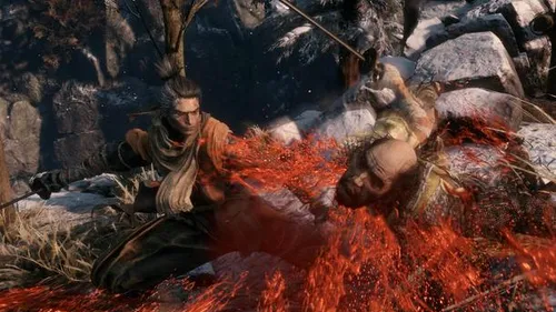 Sekiro: Shadows Die Twice - cum arată jocul în rezoluție 4K, 60fps și cu toate detaliile la maximum