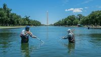 Marele campion mondial a fost arestat pentru că a atins algele din bazinul Lincoln Memorial