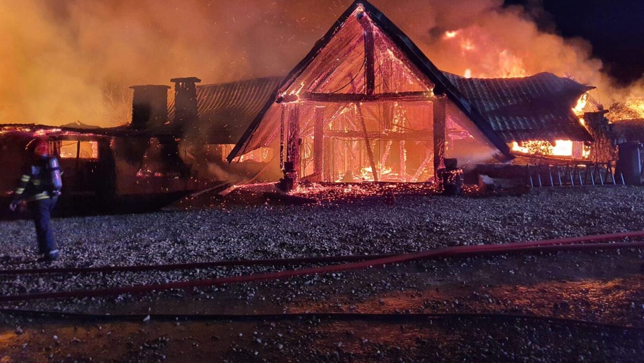 Prima mărturie din infernul de la Ferma Dacilor! Femeia rupe tăcerea despre ce a trăit: „N-a ieșit copilul meu, n-a ieșit bărbatul meu”