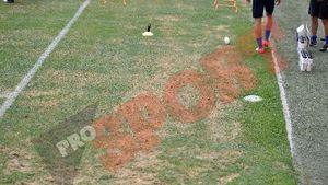 Bătăi de cap pentru organizatorii meciului Dinamo - BarÃ§a, din cauza gazonului!** Vezi ce spun despre acordul care prevede ca "extratereștrii" să nu dea mai mult de 5 goluri