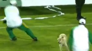 SUPER VIDEO N-au reușit să-l scoată de pe teren!** Un câine a "râs" de toată lumea și a ținut un meci pe "hold" până s-a plictisit :)