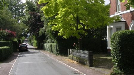 Milionarul de 74 de ani a câştigat războiul cu vecinii săi de peste drum şi 7 smochini de peste jumătate de veac pot fi tăiați acum