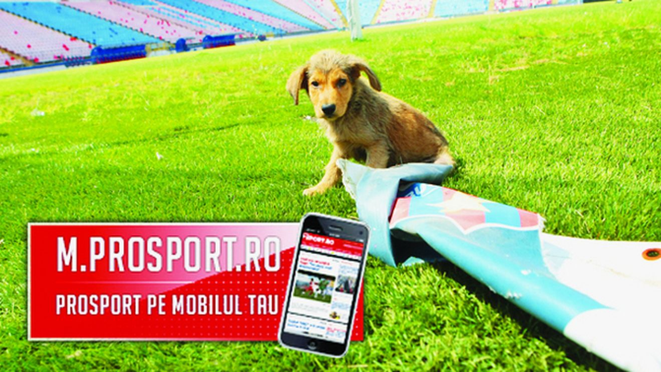 Primiți cu Steaua?** Ultimele două variante pentru Becali: Constanța sau Turnu Severin