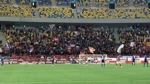 Antrenorul secund de la FC Botoșani, fascinat de suporterii Rapidului: „O forță colosală! E foarte greu!”