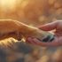 (P) Animalul tău rămâne liniștit cât lipsești