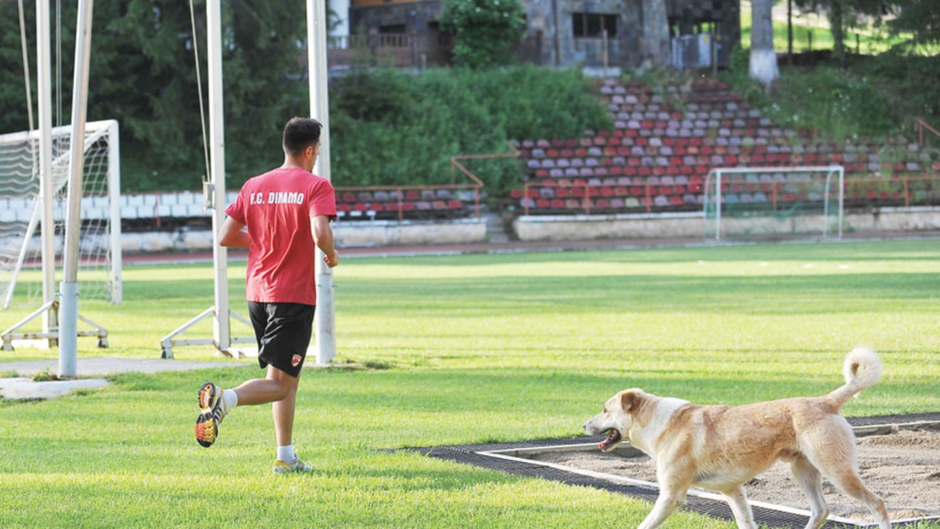 Mulțescu a dat drumul la câini! "Trebuie să muncim mult în perioada asta, e necesar"